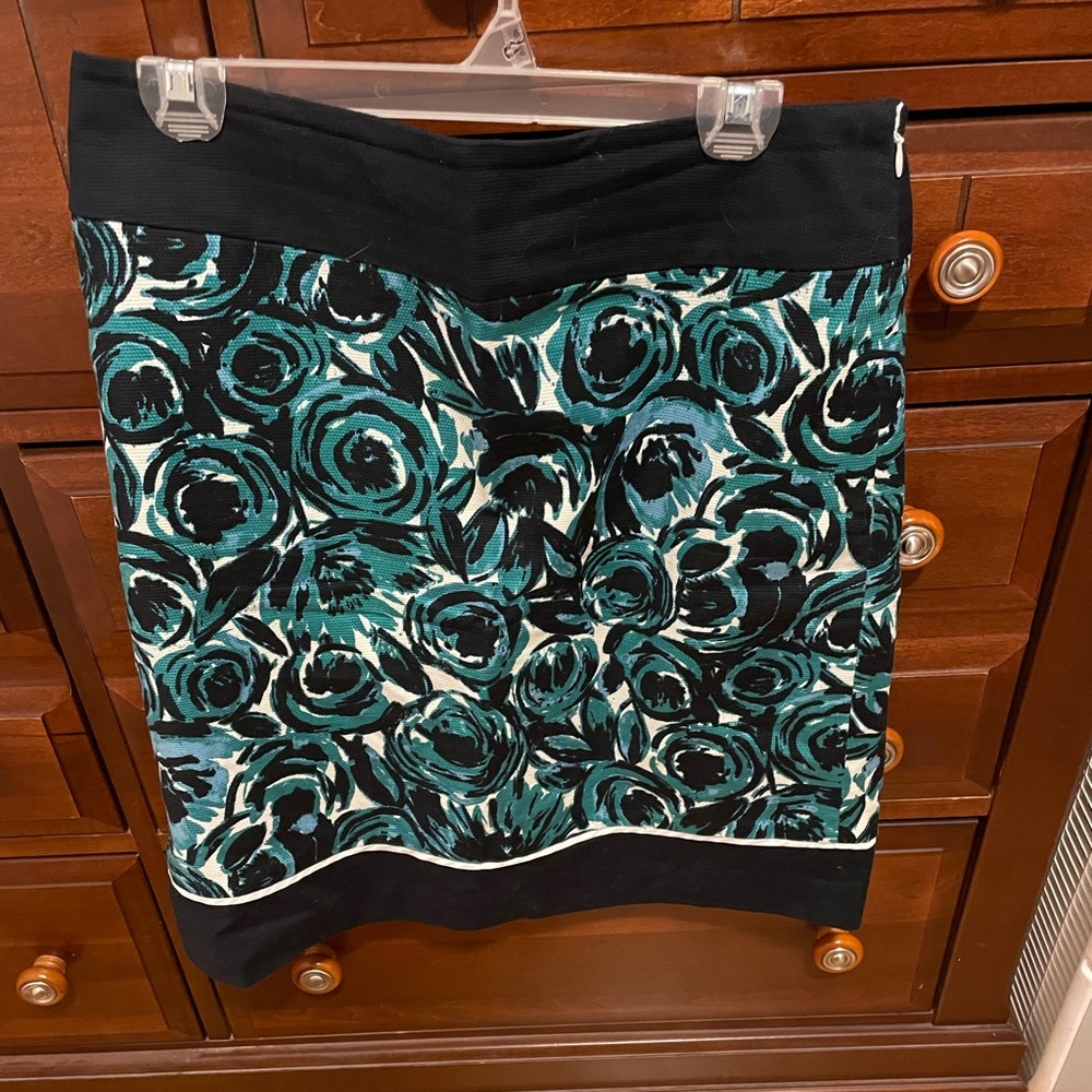 Ann Taylor skirt